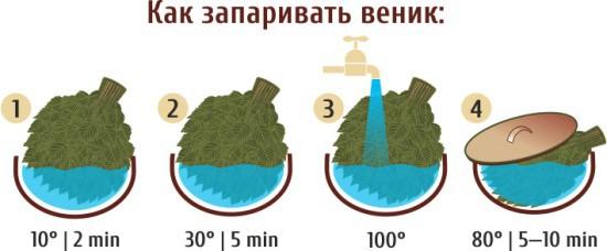 Как запарить веник для бани Как запарить веник для бани