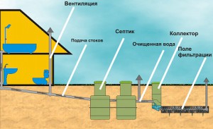 Баня из профилированного бруса под усадку Баня из профилированного бруса под усадку
