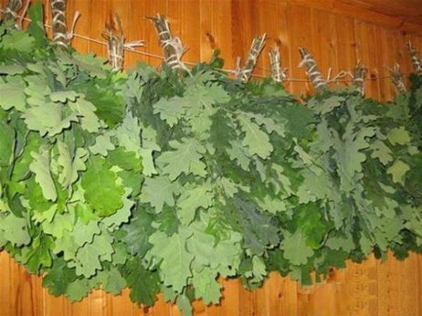 Какие бывают веники для бани Какие бывают веники для бани