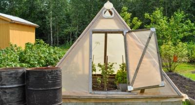 Парник из подручных материалов своими руками