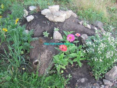Альпийская горка своими руками
Альпийская горка своими руками