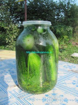 Рецепты маринованных огурцов
Рецепты маринованных огурцов